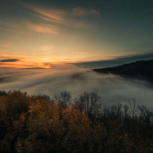 8c0490dc-be46-4d64-afc9-daff949f1666